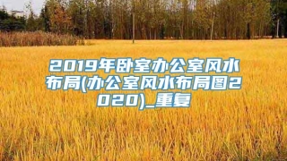 2019年卧室办公室风水布局(办公室风水布局图2020)_重复