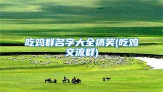 吃鸡群名字大全搞笑(吃鸡交流群)