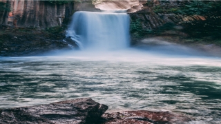 测名字大全免费查询系统(宝宝名字查询)