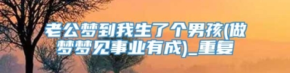 老公梦到我生了个男孩(做梦梦见事业有成)_重复