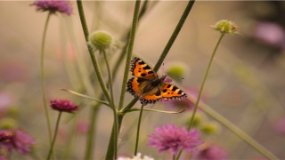 暗无天日是什么意思(暗无天日的意思解释)