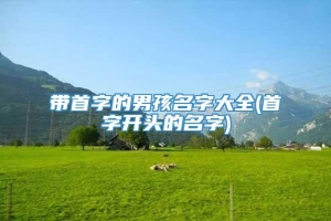 带首字的男孩名字大全(首字开头的名字)