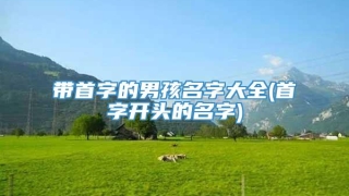 带首字的男孩名字大全(首字开头的名字)