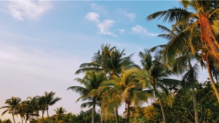 八字测名免费(八字测名免费测试)