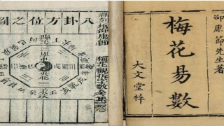 邵雍梅花易数中的诗(邵康节的绝学)