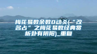 梅花易数余数0动爻(“改名占”之梅花易数经典赏析卦有阴阳)_重复