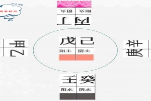 八字测你属于什么格局(什么是命局的特殊格局)