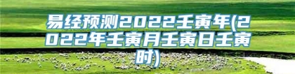 易经预测2022壬寅年(2022年壬寅月壬寅日壬寅时)