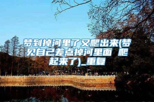 梦到掉河里了又爬出来(梦见自己差点掉河里面 爬起来了)_重复