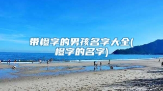 带橙字的男孩名字大全(橙字的名字)