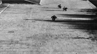 带走之旁的字(带走的意思)