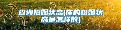 查询婚姻状态(你的婚姻状态是怎样的)