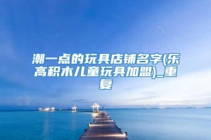 潮一点的玩具店铺名字(乐高积木儿童玩具加盟)_重复