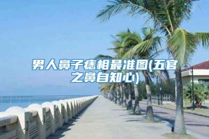 男人鼻子痣相最准图(五官之鼻自知心)