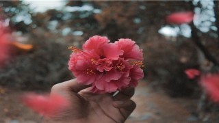 佛滔周公解梦(梦见自己开车)_重复