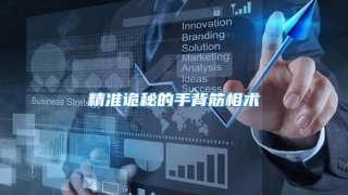 精准诡秘的手背筋相术