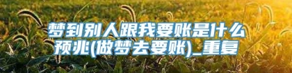 梦到别人跟我要账是什么预兆(做梦去要账)_重复