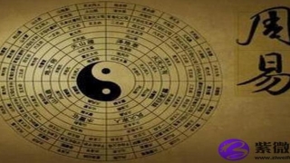 大运天干透财(身旺走财官大运)