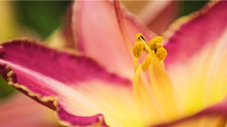 脸上痣多的人命不好(脸上痣多的人命不好有科学依据吗)