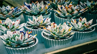 梦到老式蹲坑厕所很脏(上班蹲厕所)