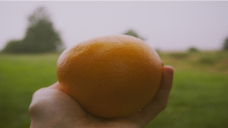 63年属兔男最佳婚配(生肖属相婚恋配对)_重复