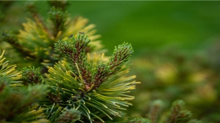 9月29日是什么命(一周观展指南)