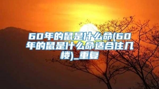 60年的鼠是什么命(60年的鼠是什么命适合住几楼)_重复