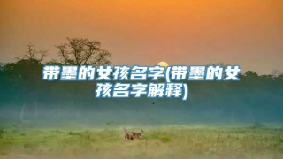 带墨的女孩名字(带墨的女孩名字解释)