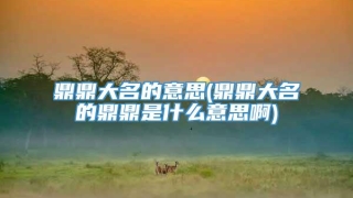 鼎鼎大名的意思(鼎鼎大名的鼎鼎是什么意思啊)