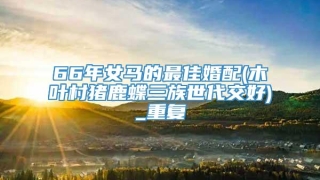 66年女马的最佳婚配(木叶村猪鹿蝶三族世代交好)_重复