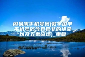 周易测手机号码(数字国学手机号码含有官非的绝命以及五鬼磁场)_重复