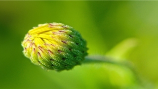 单身的人梦见别人谈恋爱了(谈恋爱后想单身)_重复