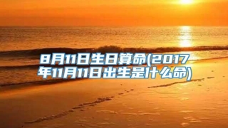 8月11日生日算命(2017年11月11日出生是什么命)