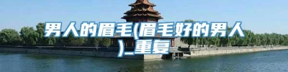 男人的眉毛(眉毛好的男人)_重复
