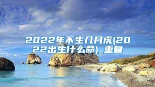 2022年不生几月虎(2022出生什么命)_重复