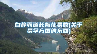 白静羽道长梅花易数(关于易学方面的东西)