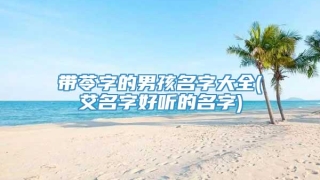 带苓字的男孩名字大全(艾名字好听的名字)