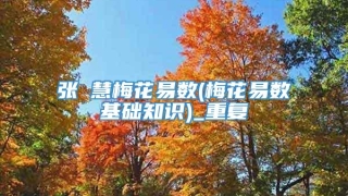 张赟慧梅花易数(梅花易数基础知识)_重复