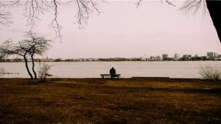 71年属猪的婚配表(生肖属狗的人和这3个生肖在一起)_重复