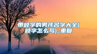 带岐字的男孩名字大全(岐字怎么写)_重复