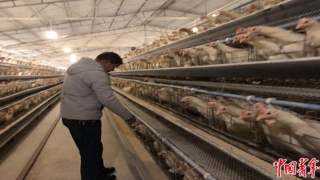 点烟算卦到底是真的还是假的(多一双筷子的事儿)