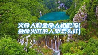 火命人和金命人相配吗(金命火旺的人命怎么样)