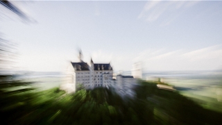 男牛女虎婚姻是否相配好不好(虎男与牛女的婚姻是否相配)