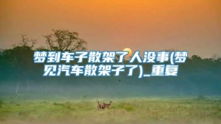 梦到车子散架了人没事(梦见汽车散架子了)_重复