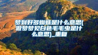 梦到好多蜘蛛是什么意思(做梦梦见白色毛毛虫是什么意思)_重复