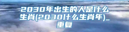 2030年出生的人是什么生肖(2030什么生肖年)_重复
