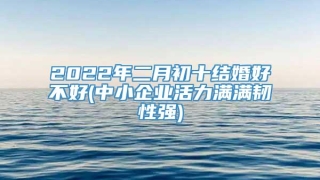2022年二月初十结婚好不好(中小企业活力满满韧性强)