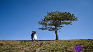 面相眼睛图解大全