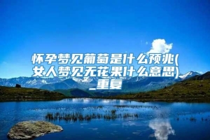 怀孕梦见葡萄是什么预兆(女人梦见无花果什么意思)_重复