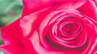 帮夫命的女人命不好吗(女人有没有旺夫命)